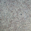 uni_tile_new_15010061.jpg
