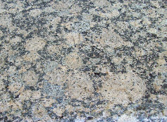 uni_tile_new_15010067.jpg