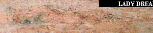 uni_tile_new_151250136.jpg
