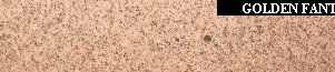 uni_tile_new_15125097.jpg