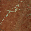 uni_tile_new_153670115.jpg