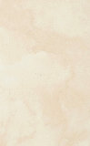 uni_tile_new_15421089.jpg
