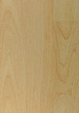 uni_tile_new_15004055.jpg