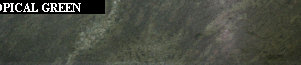uni_tile_new_151270124.jpg