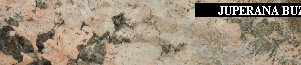 uni_tile_new_15128028.jpg