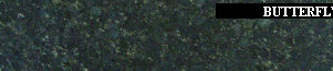 uni_tile_new_15128032.jpg