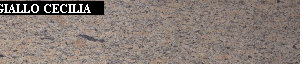 uni_tile_new_15128048.jpg