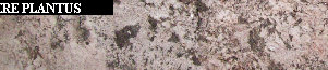 uni_tile_new_15128060.jpg