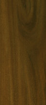 uni_tile_new_15207092.jpg