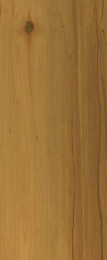 uni_tile_new_15215045.jpg