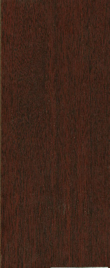 uni_tile_new_15222045.jpg