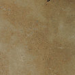 uni_tile_new_15324042.jpg