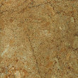 uni_tile_new_15324068.jpg