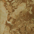 uni_tile_new_15371091.jpg