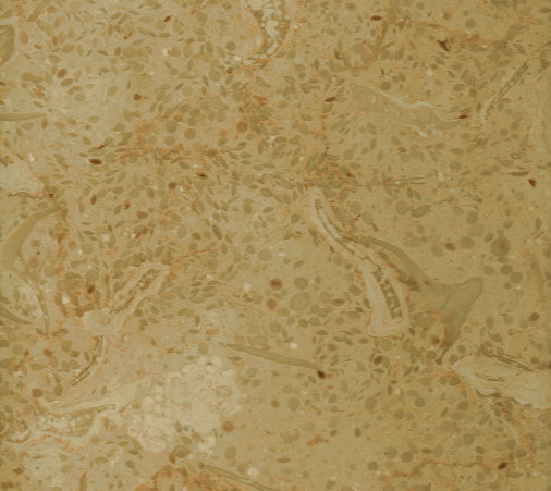 uni_tile_new_15406042.jpg